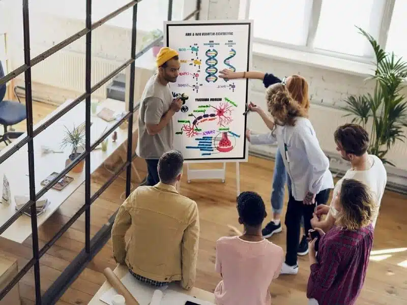 Solution Complète & Développement MVP